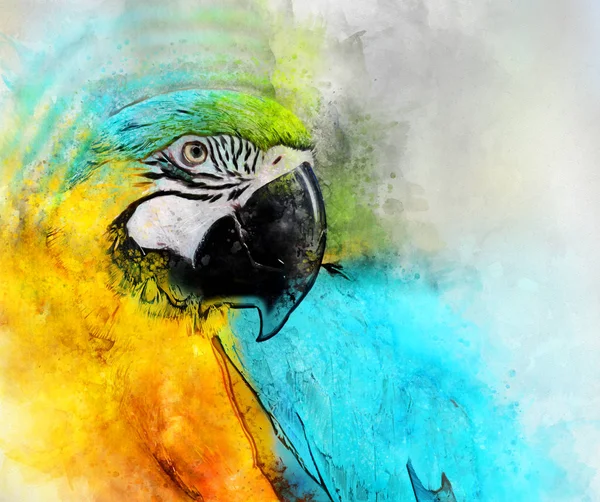 Modré Žluté Papoušek Bílém Pozadí Malba Akvarel — Stock fotografie