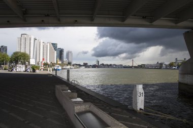 Rotterdam, Hollanda - olabilir. 31, 2018: Rotterdam manzarası ile Erasmus Köprüsü.