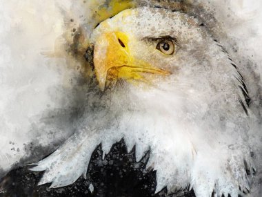 Kartal Amerika kuş suluboya resim simgesi predator