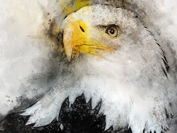 Eagle Amerika Fågel Akvarellmålning Symbol Predator — Stockfoto