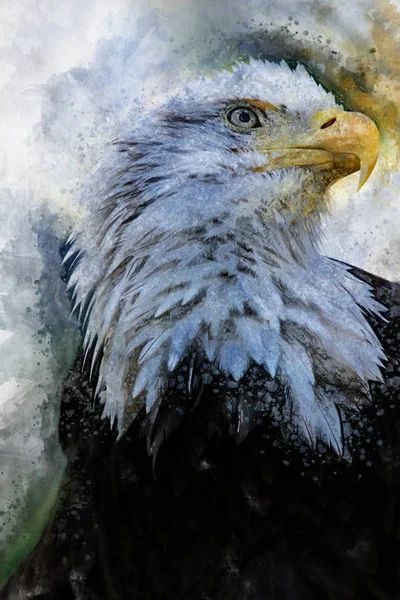 Eagle Amerika Vogel Aquarel Symbool Predator — Stockfoto