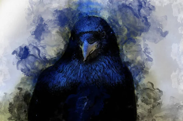 Portrait Crow Bird Watercolor Painting — Stock Photo, Image