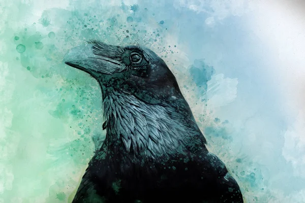 Portret Van Een Crow Vogel Aquarel Schilderij — Stockfoto