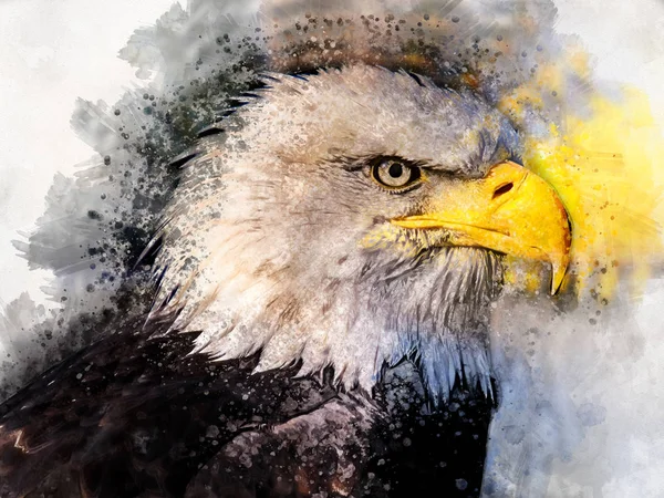 Американский Орёл Хищник Акварелью — стоковое фото
