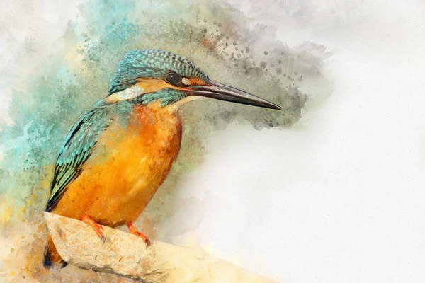 Pescador Real Común Pintado Con Acuarela Ilustración Aves — Foto de Stock