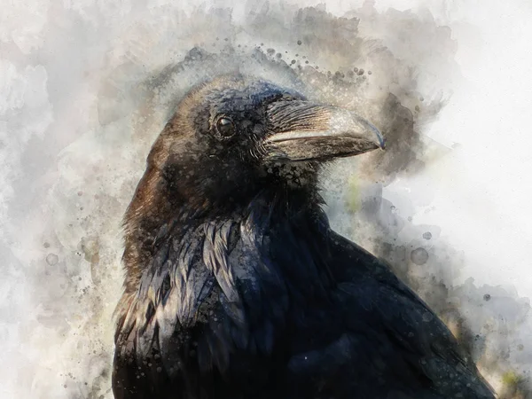 Retrato Pájaro Cuervo Pintura Acuarela — Foto de Stock