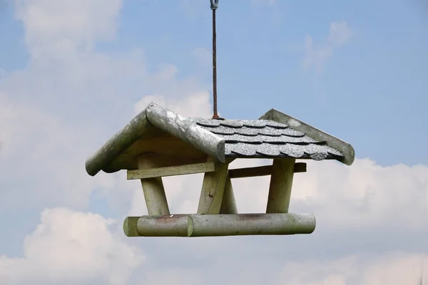 鳥の送り装置 木に掛かっている ネスト ボックスのための巣箱 — ストック写真