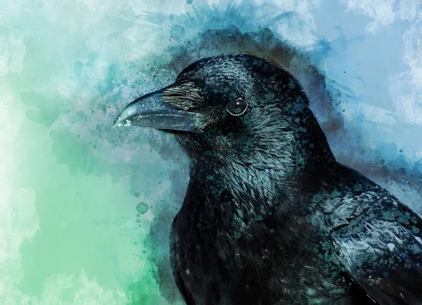 Retrato Pássaro Corvo Pintura Aquarela — Fotografia de Stock