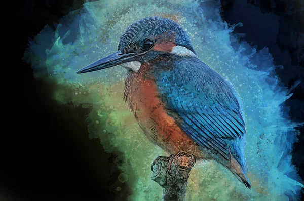 カワセミ 水彩で描かれました 鳥の図 — ストック写真