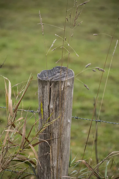 木树桩围栏站 在农场的边缘举起一个锈迹斑斑的旧金属有线围栏 — 图库照片