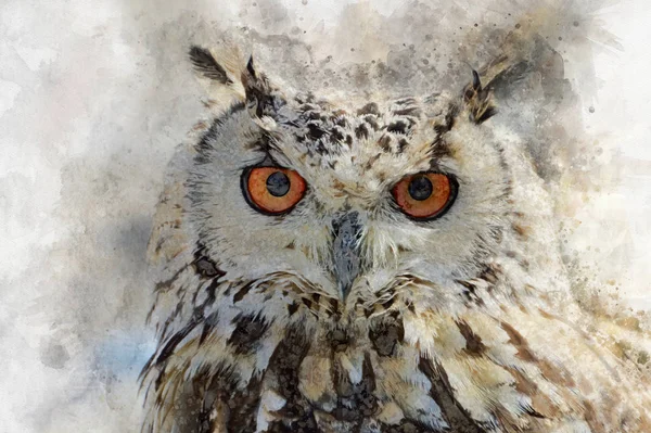 Hibou Aquarelle Isolé Sur Fond Blanc Chouette Aquarelle Dessinée Main — Photo