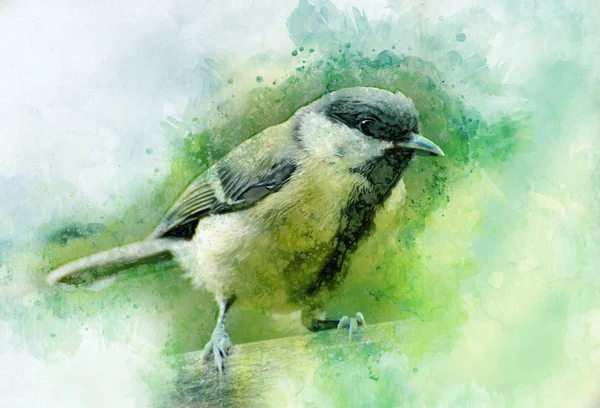 Gran Teta Pintada Con Acuarela Ilustración Aves —  Fotos de Stock