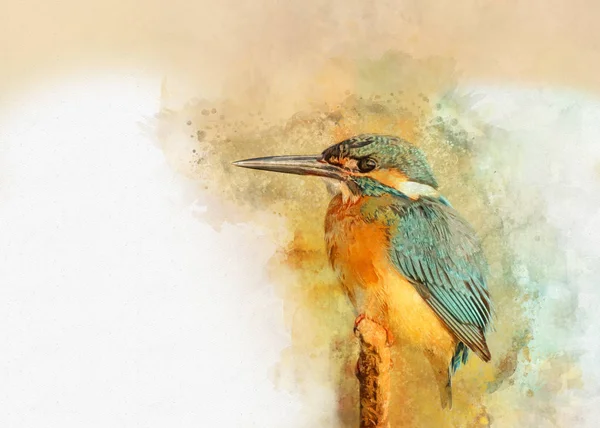 Kingfisher Commun Peint Aquarelle Illustration Oiseau — Photo