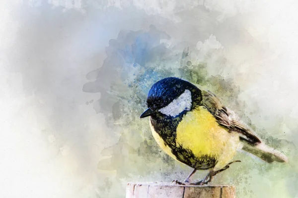 Aquarel Big Tit Hand Getekende Aquarel Uil Ideaal Voor Ontwerp — Stockfoto