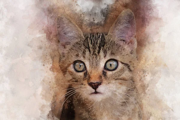 Watercolor Hand Painted Illustration Cute Brown Kitten — Stock Photo, Image