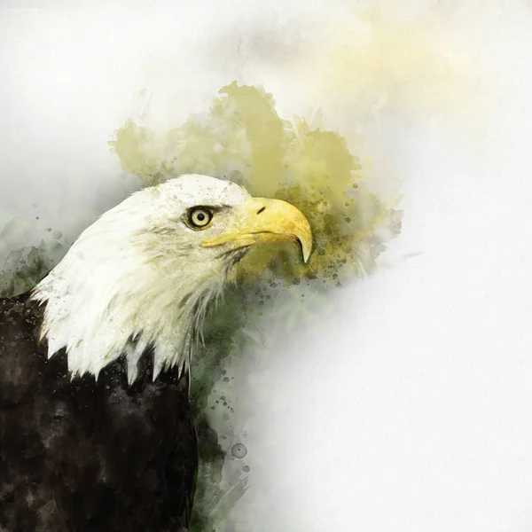 Eagle Amerika Vogel Aquarel Symbool Predator — Stockfoto