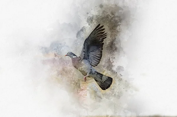Parlak Arka Plan Üzerinde Gri Bir Güvercin Uçuş Suluboya Resim — Stok fotoğraf