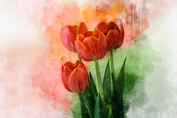 Akwarela Tulipany Ręcznie Rysowane Akwarela Wiosennych Kwiatów Idealny Projektowania Życzeniami — Zdjęcie stockowe