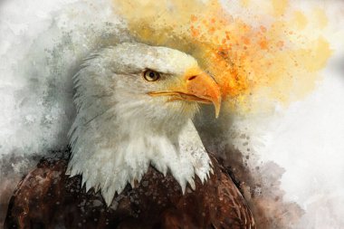 Kartal Amerika kuş suluboya resim simgesi predator