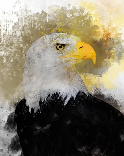 Eagle Amerika Fågel Akvarellmålning Symbol Predator — Stockfoto