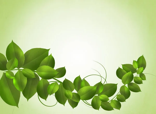 Fundo Primavera Brilhante Com Folhas Verdes Frescas — Fotografia de Stock