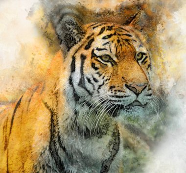 Watercolor Digital Painting Of Tiger Head vintage effect clipart
