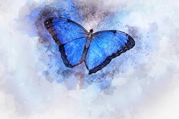Vacker Blå Fjäril Målad Med Vattenfärg — Stockfoto