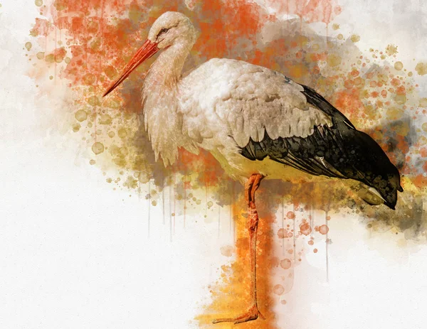 Aquarell Storch Handgezeichneter Aquarell Vogel Perfekt Für Design Grußkarte Oder — Stockfoto