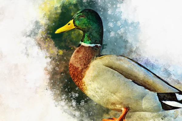 Pato dibujo fotos de stock, imágenes de Pato dibujo sin royalties | Depositphotos Pato dibujo fotos de stock, imágenes de Pato dibujo sin royalties | Depositphotos