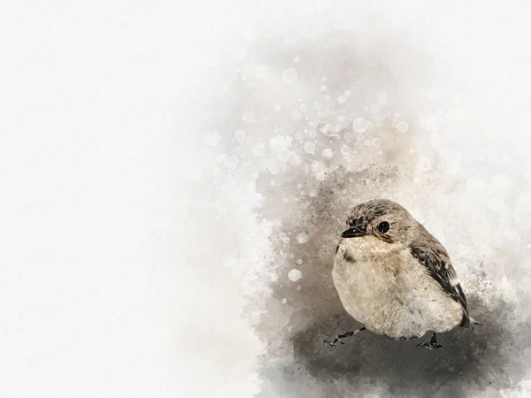 Un uccellino acquerello. Uccello acquerello disegnato a mano perfetto per cartolina di auguri o stampa . — Foto Stock
