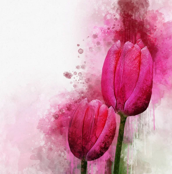 Акварельні тюльпани. Ручні намальовані акварельні весняні квіти ідеально підходять для дизайну вітальної листівки або друку . — стокове фото