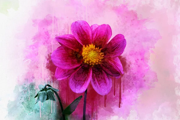 アネモネの花: 背景、テクスチャ、ラッパーパターン、フレームまたはボーダーのための水彩スタイルの野生の花 — ストック写真