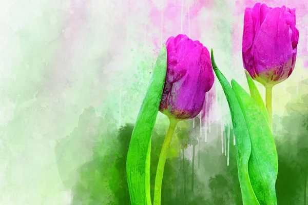 Tulipani ad acquerello. Fiori primaverili ad acquerello disegnati a mano perfetti per cartolina di auguri o stampa . — Foto Stock