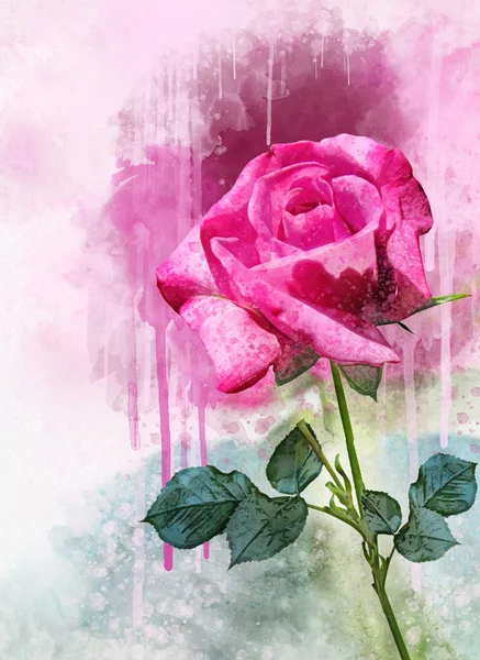 Un dibujo de acuarela de una vibrante flor rosa. Arte botánico. Elemento decorativo para una tarjeta de felicitación o invitación a la boda —  Fotos de Stock