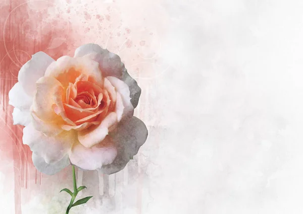 鮮やかなバラの花の水彩画。植物学グリーティングカードや結婚式の招待状のための装飾的な要素 — ストック写真
