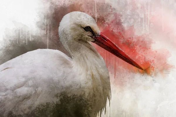 White stork watercolor painting, bird illustration — Stock Photo, Image