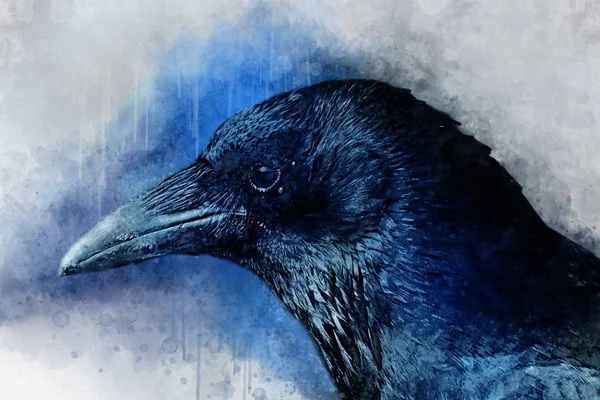 Retrato de un pájaro cuervo, pintura acuarela —  Fotos de Stock