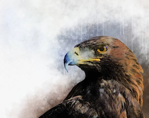 Falcon watercolor illustration. Symbol predator. Bird illustration — Stock Photo, Image