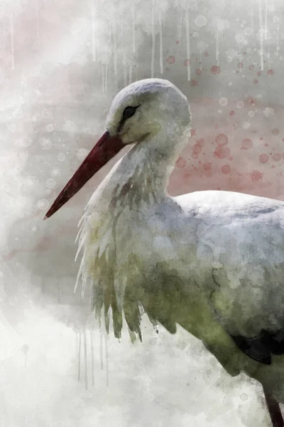 白鹤的水彩画。鸟类图解 — 图库照片