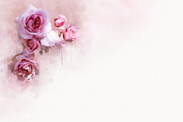 Botaniczna ilustracja różowej róży. Idealny do kartki okolicznościówki lub papieru firmowego. — Zdjęcie stockowe