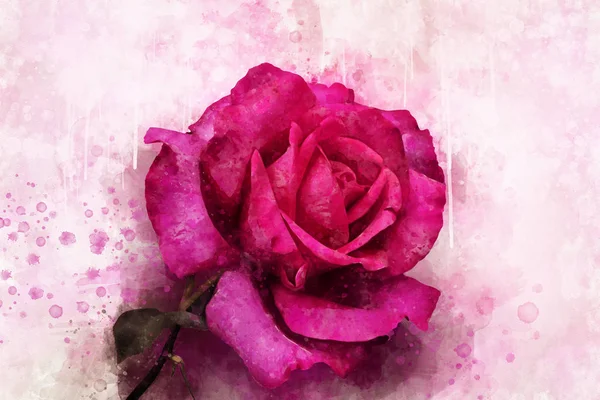 Un dibujo de acuarela de una vibrante flor rosa. Arte botánico. Elemento decorativo para una tarjeta de felicitación o invitación a la boda —  Fotos de Stock