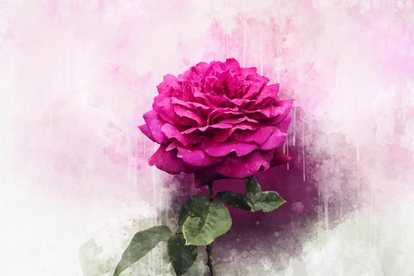 Um desenho aquarela de uma flor rosa vibrante. Arte botânica. Elemento decorativo para um cartão de felicitações ou convite de casamento — Fotografia de Stock