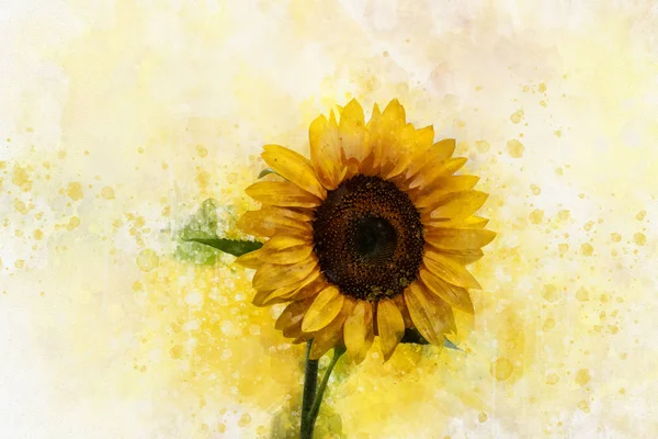 水彩画のひまわり、スクラップブックやグリーティングカードの花のイラスト — ストック写真