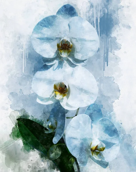 Tropická bílá orchidej s bílými květy a zelenými listy. Kresba akvarelem. Květinová ilustrace. — Stock fotografie