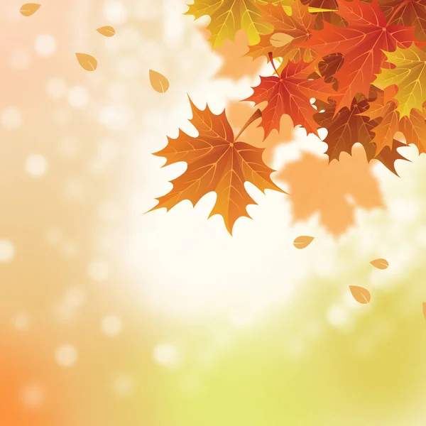 Autumn leaves banner illustration. Orange and yellow falling leaves