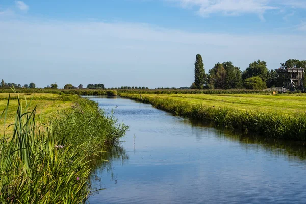 Paisagem típica de polder holandês perto de Zaandam, Holanda do Norte . — Fotografia de Stock