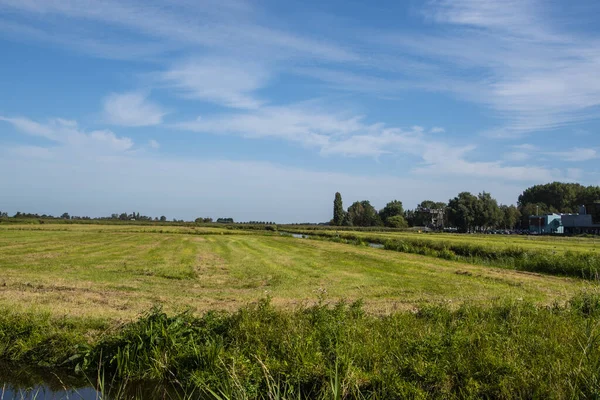 Typisch Nederlands polderlandschap bij Zaandam, Noord-Holland. — Stockfoto