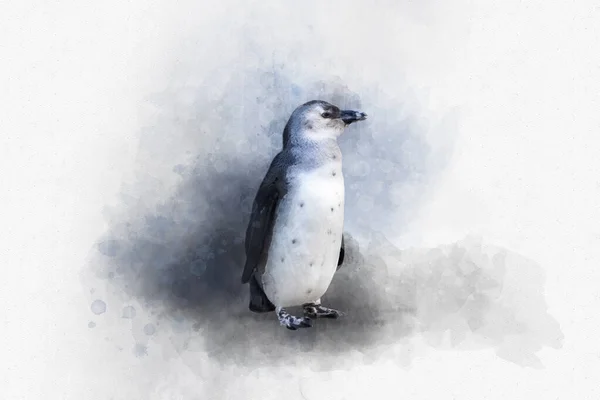 Bird illustration: akvarellmålning av en enda Magellan pingvin — Stockfoto