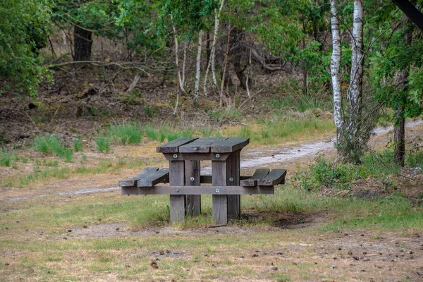 Vacker Stadspark Med Promenadstråk Bänkar Och Stora Gröna Träd Stadspark — Stockfoto