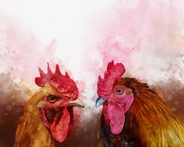 Akvarell Kyckling Och Tupp Handritad Akvarell Fågel Illustration — Stockfoto